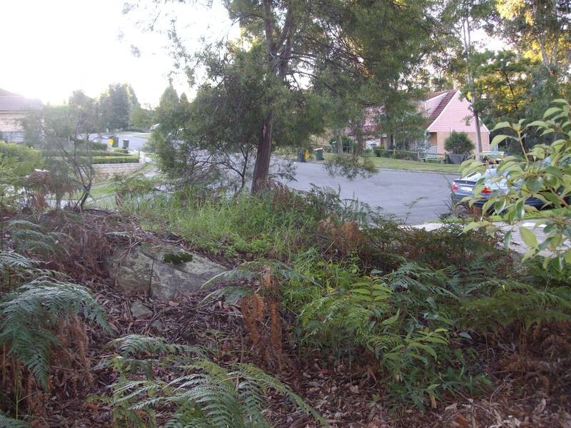 12 Joyce Place, Dural NSW 2158
