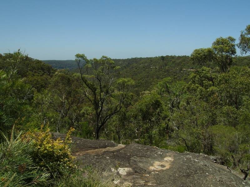 Berrilee NSW 2159