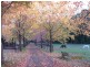 Glenorie NSW 2157