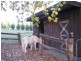 Glenorie NSW 2157