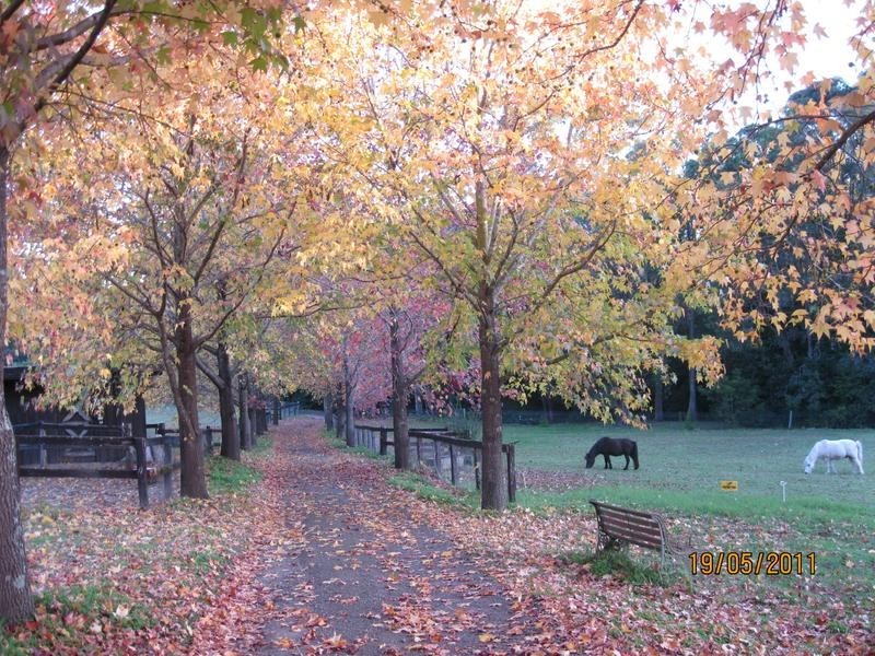 Glenorie NSW 2157