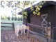 Glenorie NSW 2157