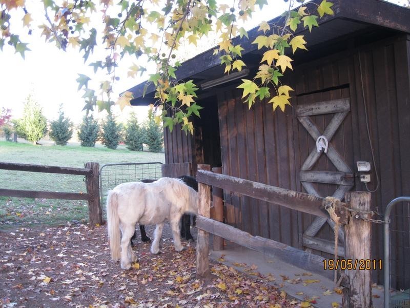 Glenorie NSW 2157