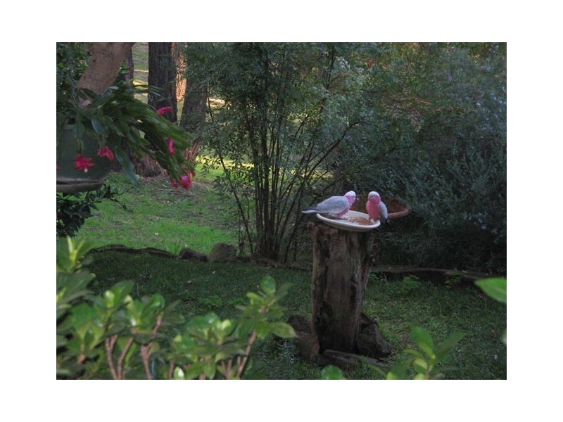 South Maroota NSW 2756