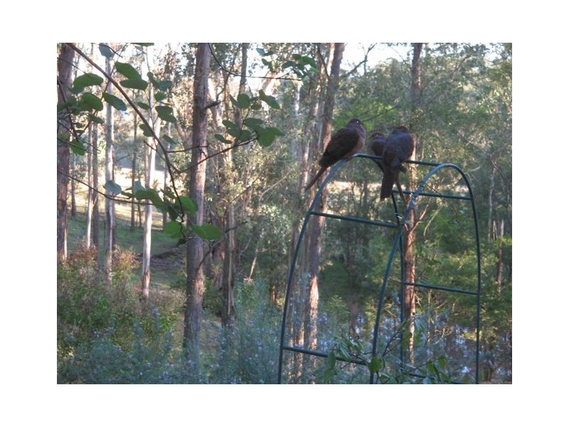 South Maroota NSW 2756