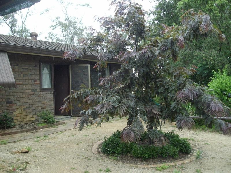 Cattai NSW 2756