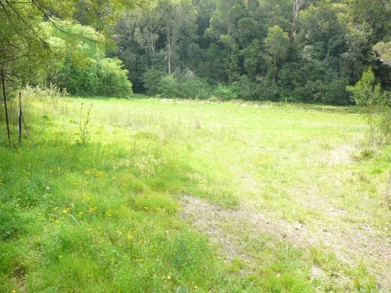 480/484 Halcrows Road, Cattai NSW 2756