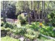 10 Webbs Creek Road, Wisemans Ferry NSW 2775