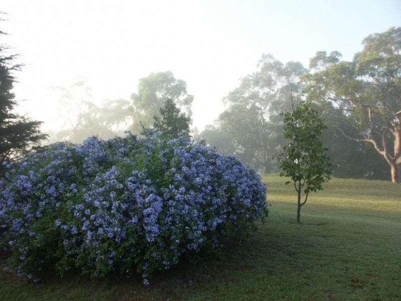 Glenorie NSW 2157