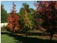 Glenorie NSW 2157