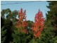 Glenorie NSW 2157