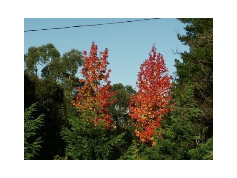 Glenorie NSW 2157