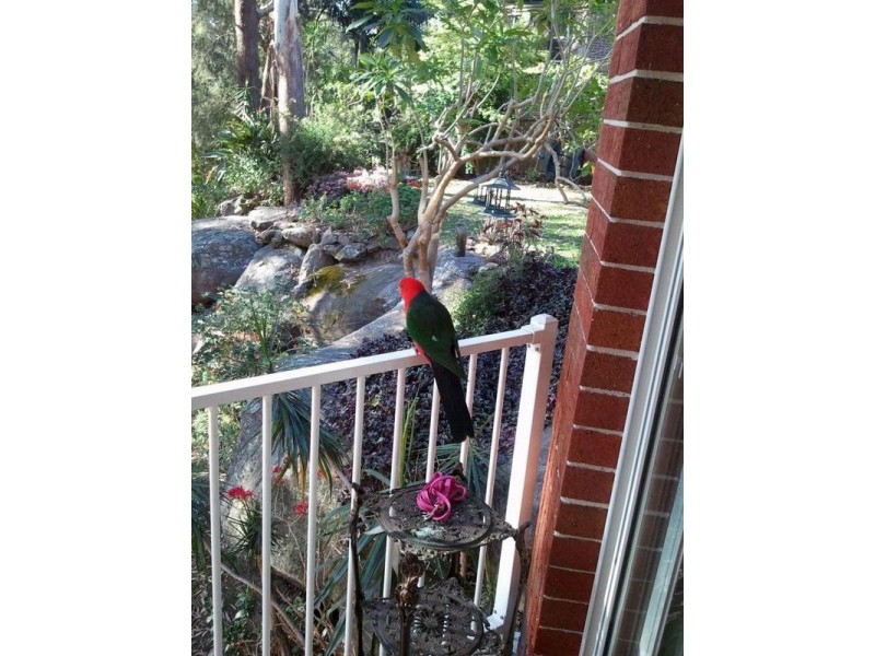 West Pennant Hills NSW 2125