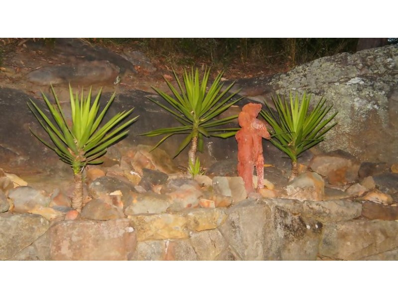 West Pennant Hills NSW 2125