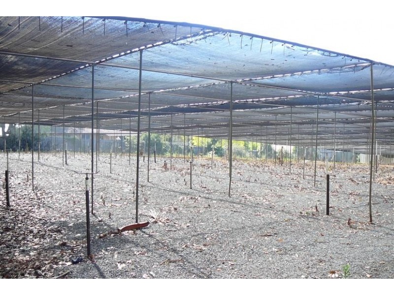 11 Knights Rd., Galston NSW 2159