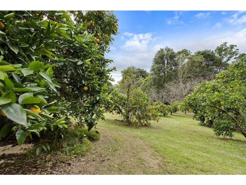 17 Cobah Road, Arcadia NSW 2159