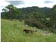 St Albans NSW 2775