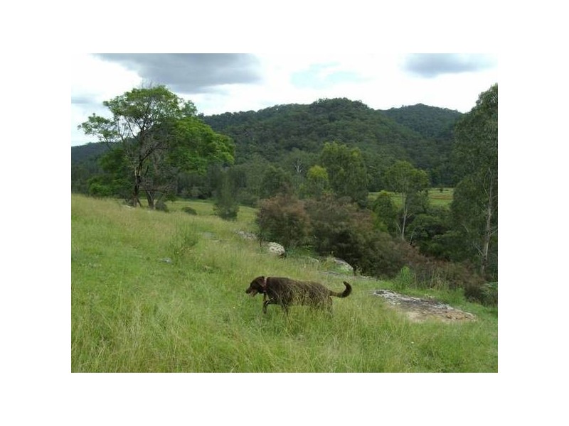 St Albans NSW 2775