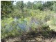 South Maroota NSW 2756