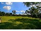 3 Burrawang Drive, Nelson NSW 2765