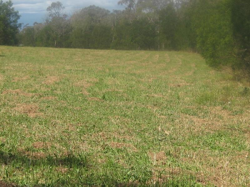 1521 Wisemans Ferry Road, Maroota NSW 2756