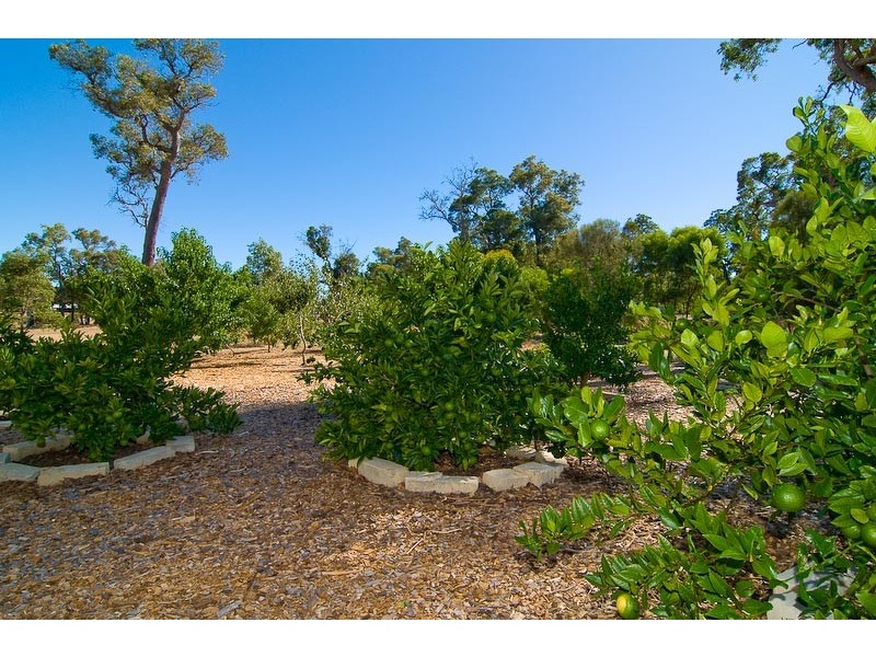 40 Strawberry Hill Drive, Gidgegannup WA 6083