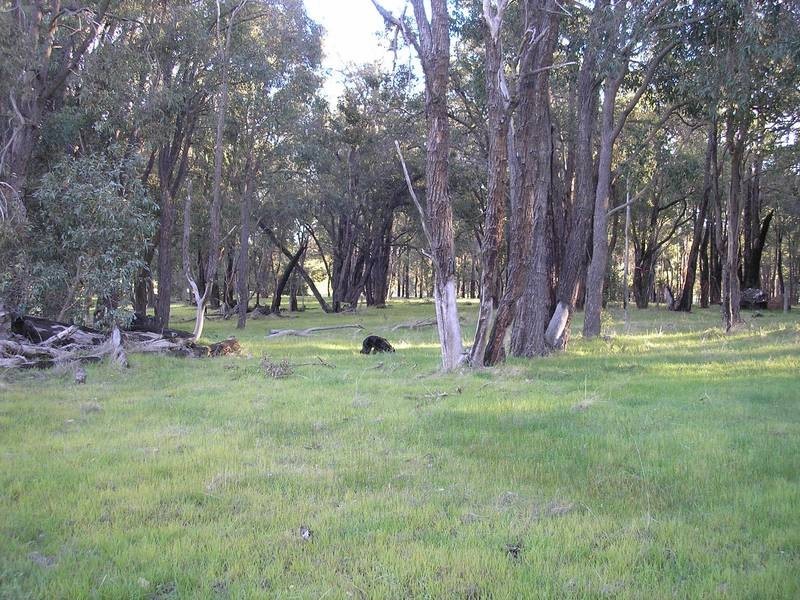 Lot 22,  Toodyay Road, Gidgegannup WA 6083