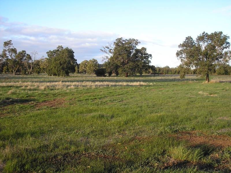 Lot 22,  Toodyay Road, Gidgegannup WA 6083