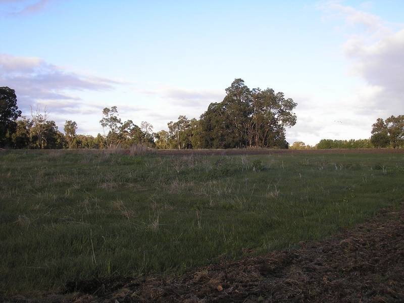 Lot 22,  Toodyay Road, Gidgegannup WA 6083