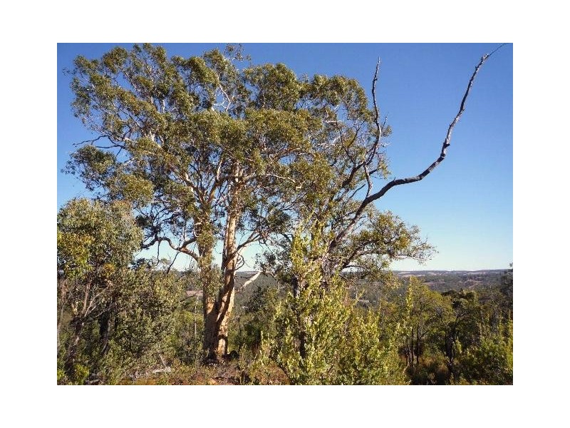 Gidgegannup WA 6083