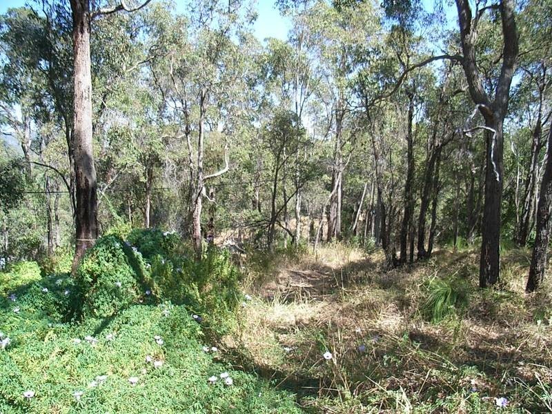 135 Darlington Rd, Darlington WA 6070