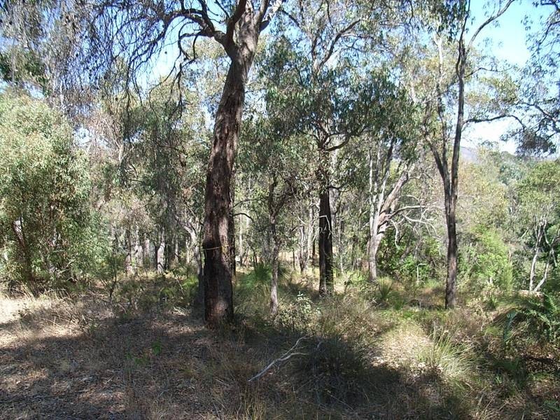 135 Darlington Rd, Darlington WA 6070