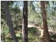 135 Darlington Rd, Darlington WA 6070