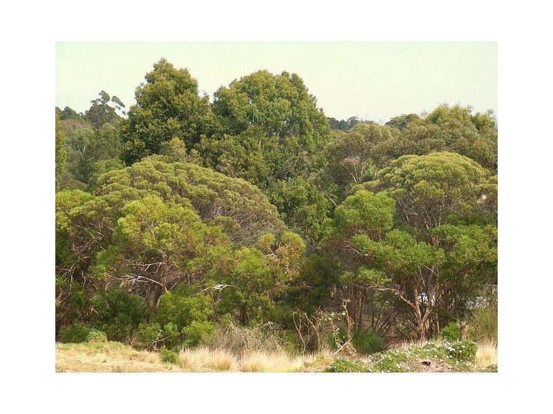 570 Beresford Gardens, Swan View WA 6056