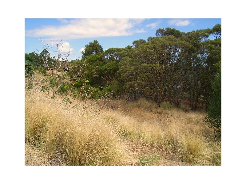 570 Beresford Gardens, Swan View WA 6056