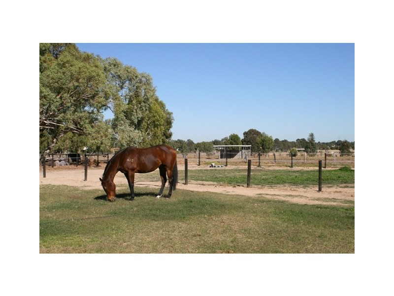 169 Stock Road, Herne Hill WA 6056