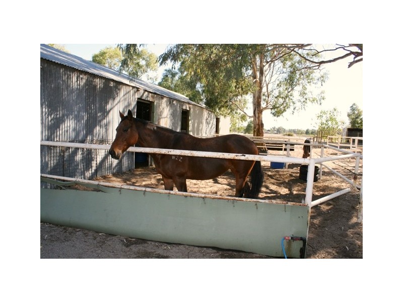 169 Stock Road, Herne Hill WA 6056