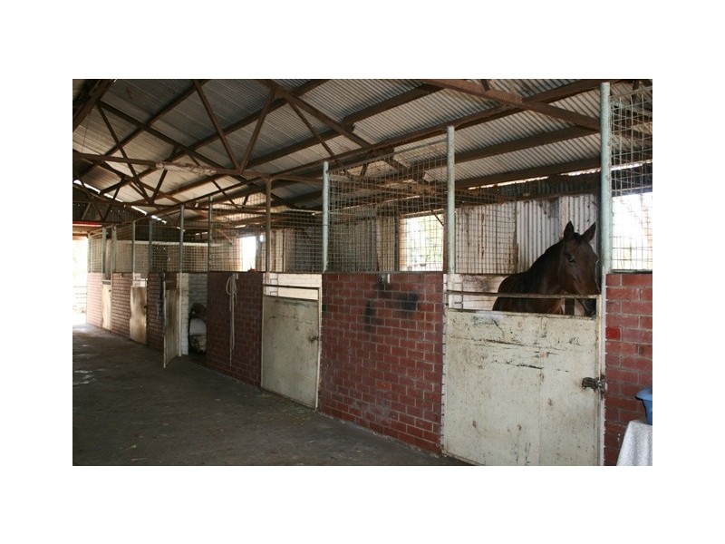 169 Stock Road, Herne Hill WA 6056