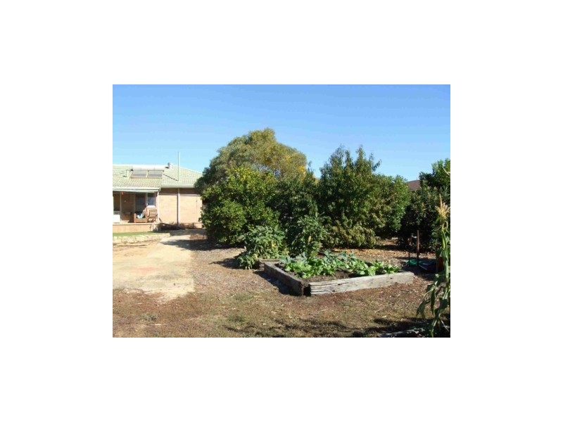 8 Taylor St, Pingelly WA 6308