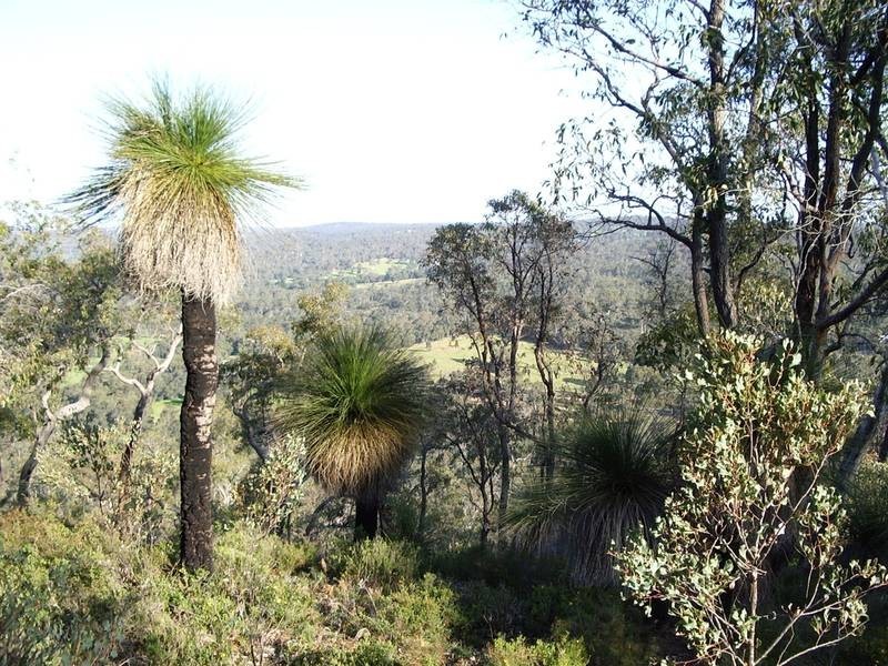 913 Reen Road, Gidgegannup WA 6083