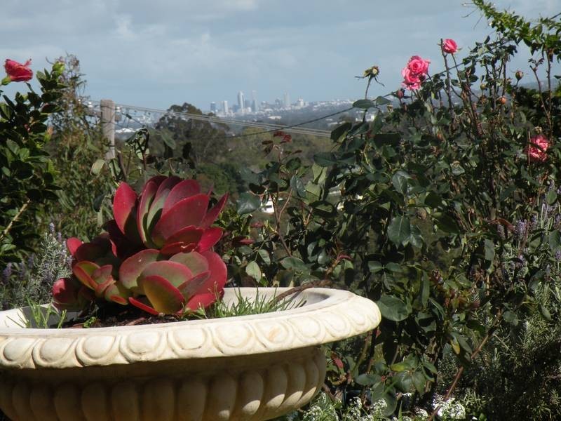 21 Mulberry Tree Close, Swan View WA 6056