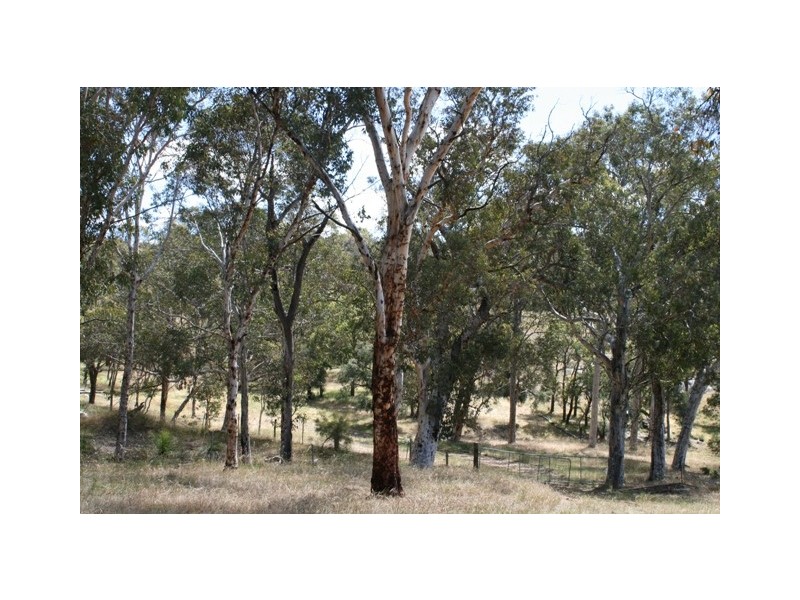 1056 Reen Rd, Gidgegannup WA 6083