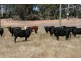 1056 Reen Rd, Gidgegannup WA 6083