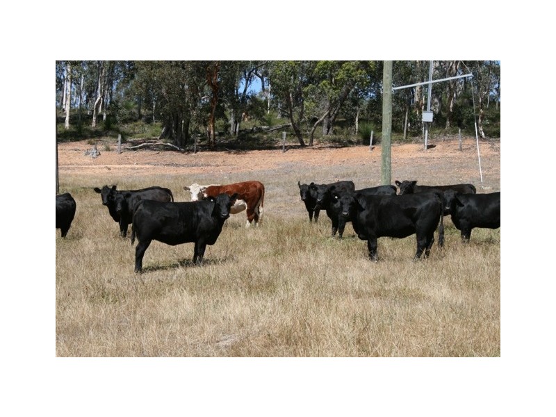 1056 Reen Rd, Gidgegannup WA 6083