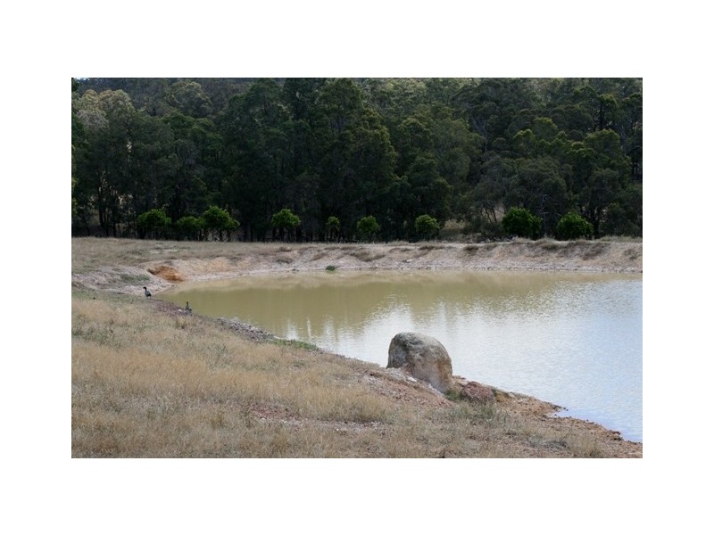 1056 Reen Rd, Gidgegannup WA 6083