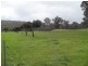 1056 Reen Rd, Gidgegannup WA 6083