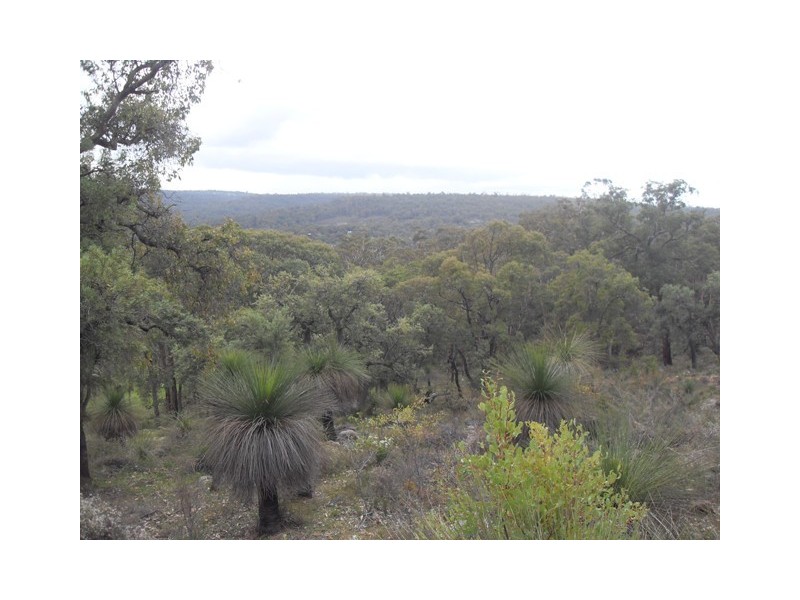 1056 Reen Rd, Gidgegannup WA 6083