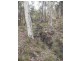 1056 Reen Rd, Gidgegannup WA 6083