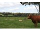 LOT 7 Toodyay Rd, Gidgegannup WA 6083