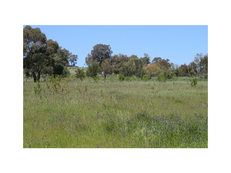 501 Pechey Rd, Jane Brook WA 6056